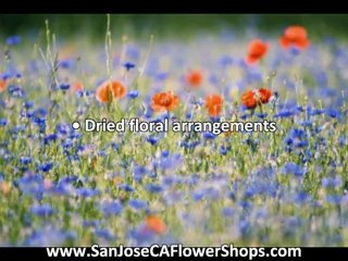 flowers for mother's day and for all occasions