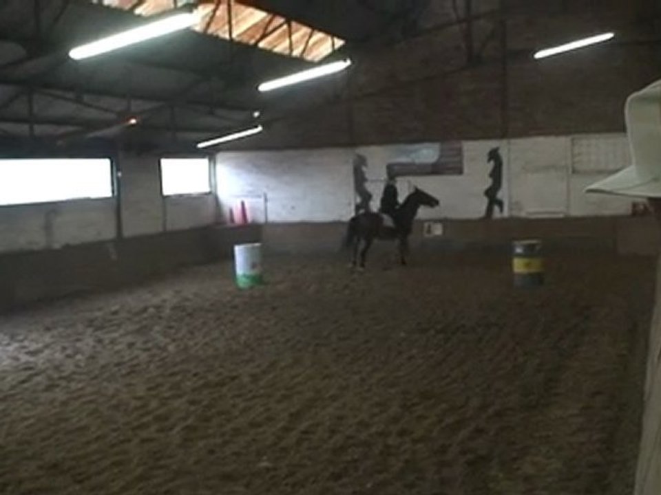 le 6-11-2011 Les Jeux après la Saint-Hubert au manège El Cortijo