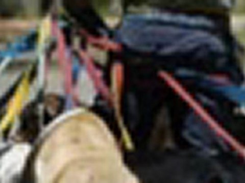 Cat Care, Chicago, IL 60614 - (773) 935-9983