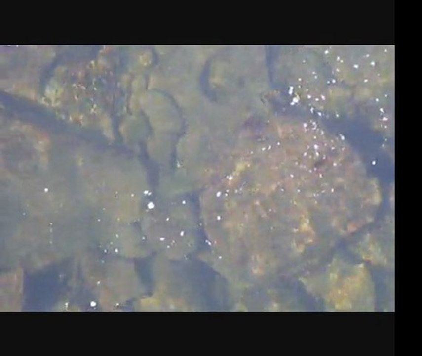 Novembre 2011, les prémices....