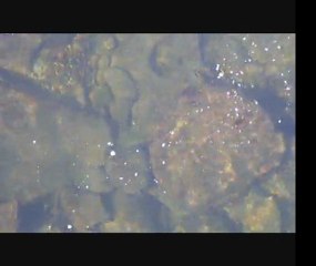 Novembre 2011, les prémices....