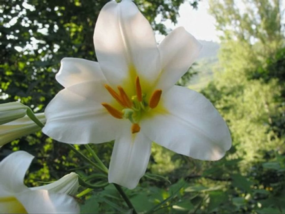 Court Silence 3