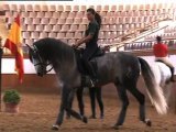 EXTRAIT - Quand dansent les chevaux andalous - Equidia Life