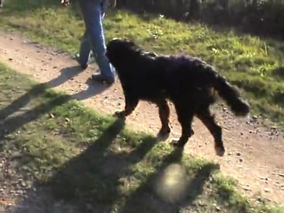 DANA fait des progrès (13)