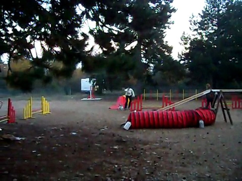 entrainement agilty à dijon