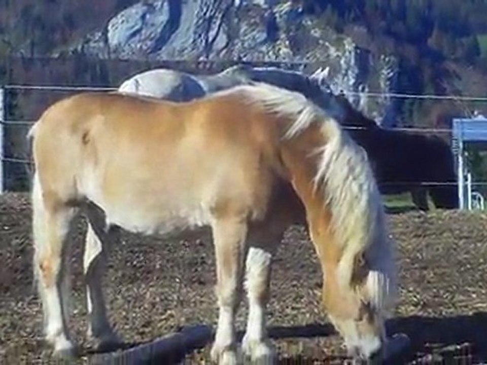 Valentin