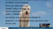 Secretos del Entrenamiento Canino o Adiestramiento de perros