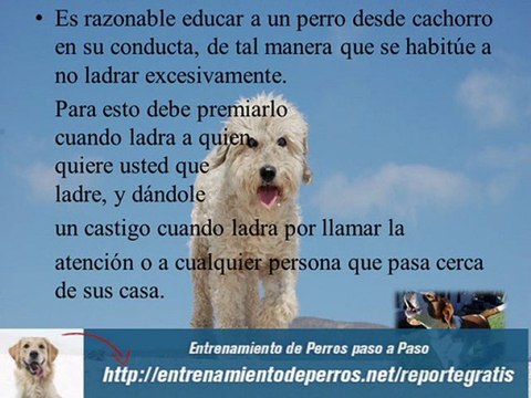 Secretos del Entrenamiento Canino o Adiestramiento de perros