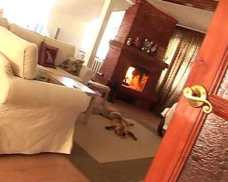 Чудесный отдых на реке Вятке в Кировской области