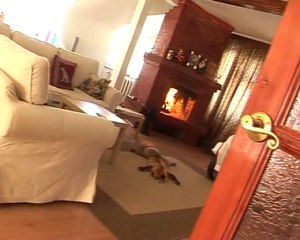 Чудесный отдых на реке Вятке в Кировской области