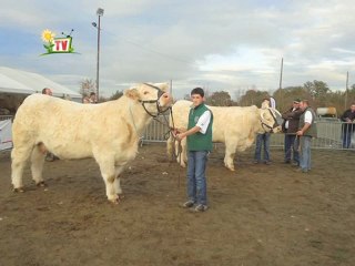 JT de Vendée agricole TV du 11 novembre 2011