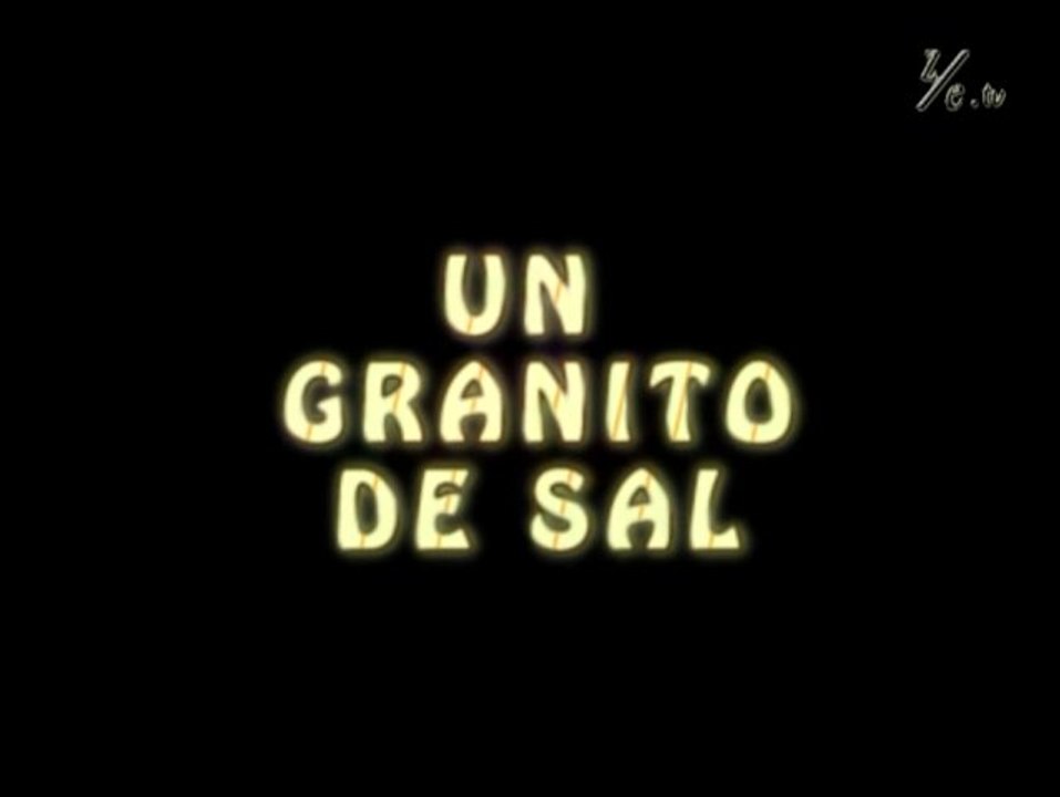 Granito de sal 8