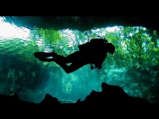 Présentation de Turtle Dive Center