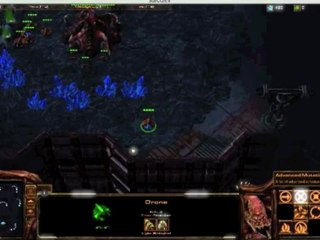 Parodie Starcraft 2 : Sexy and I Know It