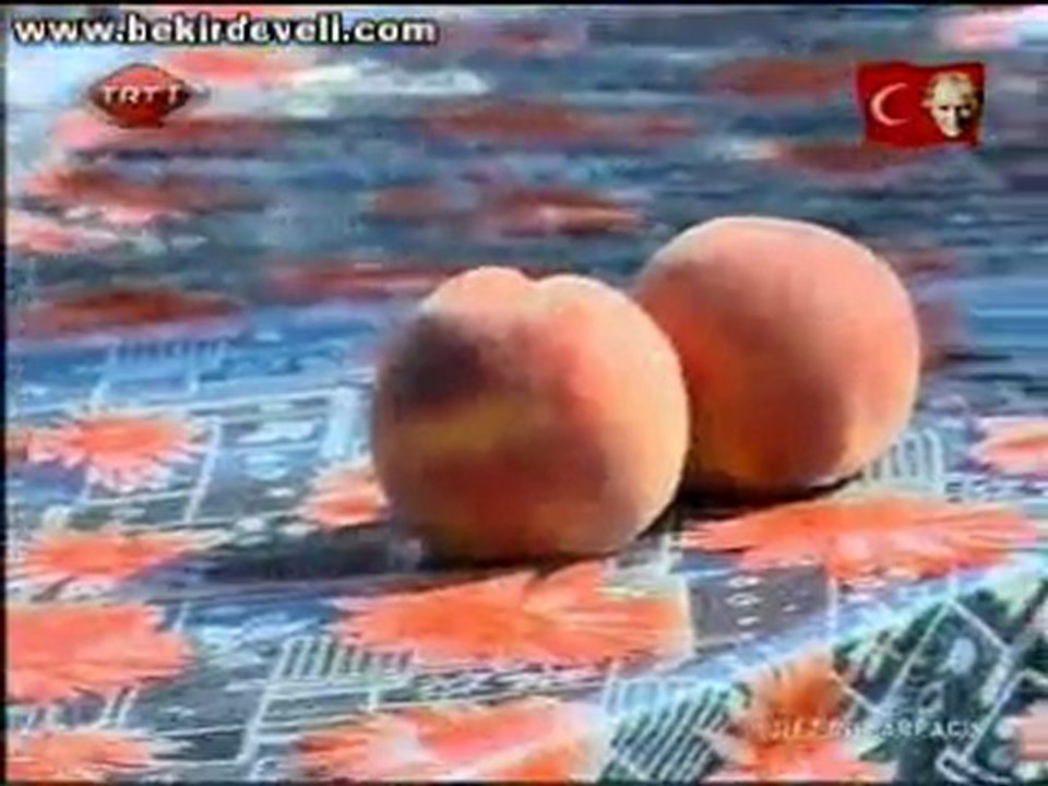 Bekir Develi - Gez Göz Arpacık TRT1 - Bilecik / Osmaneli - Çerkeşli