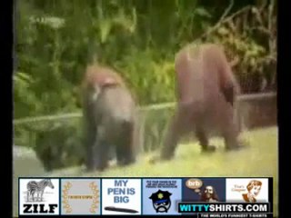 Eğlenceli görüntüler