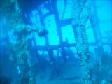 Epave Le Dolfin Shipwreck with Turtle Dive Center Las Terrenas