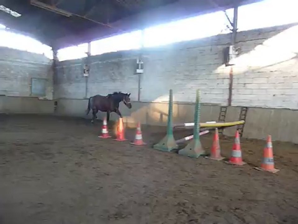 novembre 2011 Soierie club