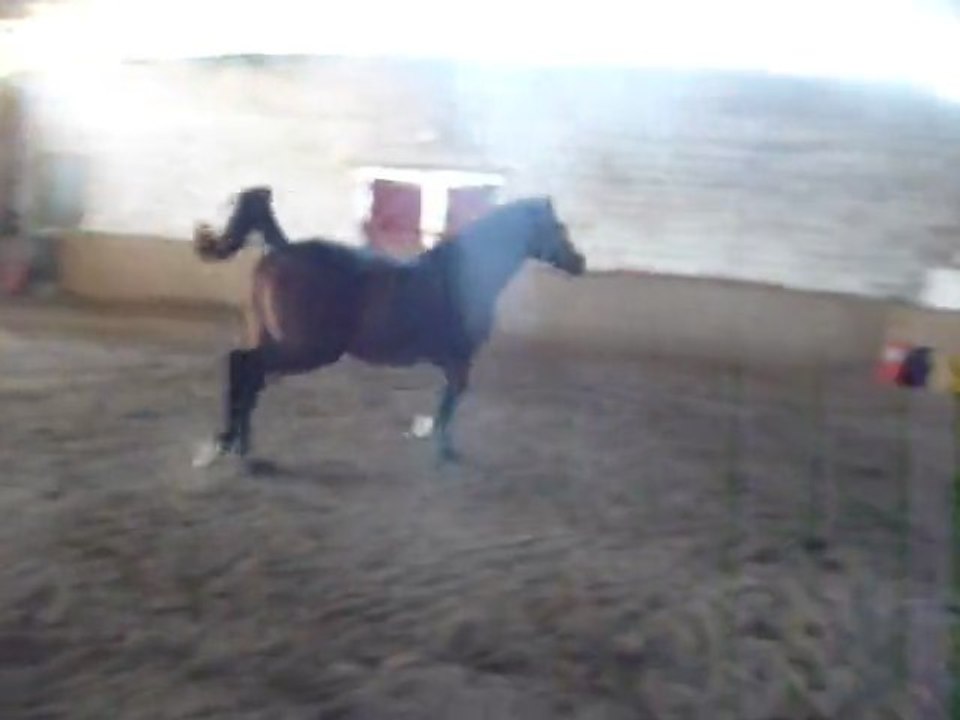 novembre 2011 Soierie club 1