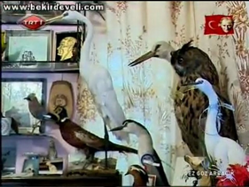 Bekir Develi - Gez Göz Arpacık TRT1 - Kırklareli / Pınarhisar