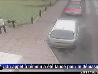 La SPA britannique veut retrouver le coupable..