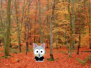 Otaku TV Novembre 2011 S'maine 2