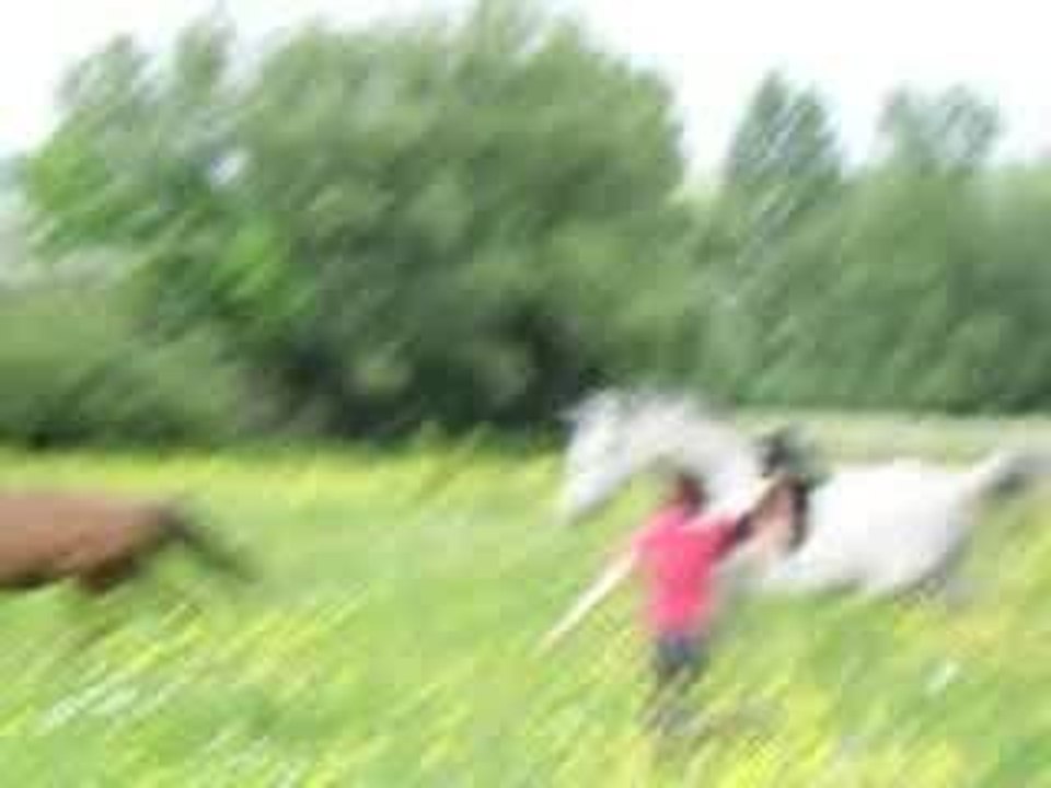5 juin 2006 157