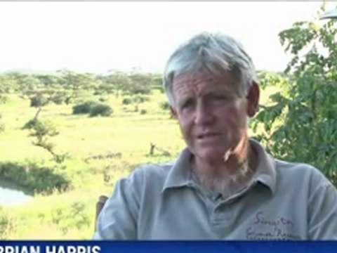 En mai 2010, cinq rhinocéros noirs d'Afrique de l'Ouest avaient été réintroduits en Tanzanie, là où ils avaient disparus depuis plus de 20 ans...