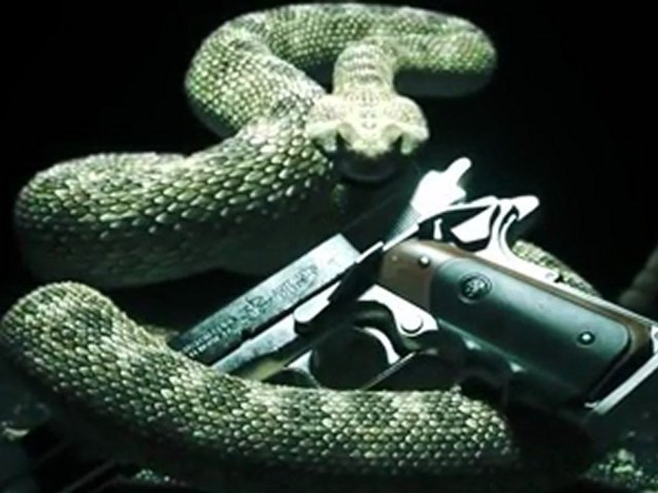 Hitman 5: Absolution - Download Demo PC - SKiDROW!