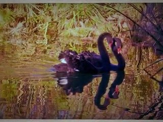 free online dating services