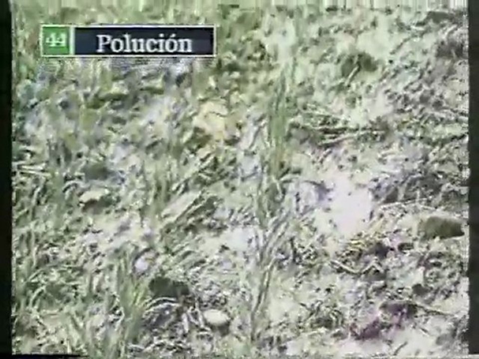 (DVD12) (31) POLUCION