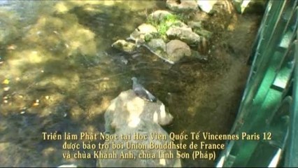 Exposition du Bouddha de jade pour la paix Universelle