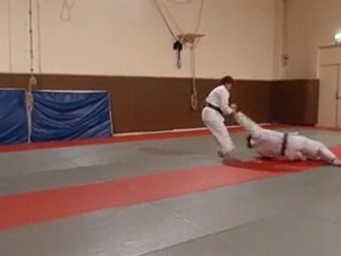 Nihon Tai-Jitsu Kihon Kata