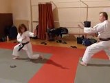 Ecole Shomen (Nice) de Nihon Tai-jitsu: le Kihon Kata