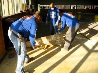 Professional Commercial Carpet Removal Company of New York City