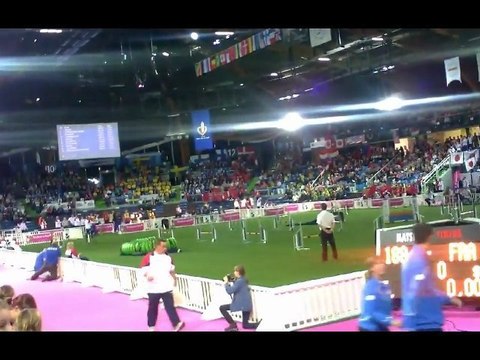 championnat du monde agility lievin 2011