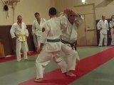 Vidéos de Ecole Shomen Nihon Tai-jitsu: défense contre poing par shio nage