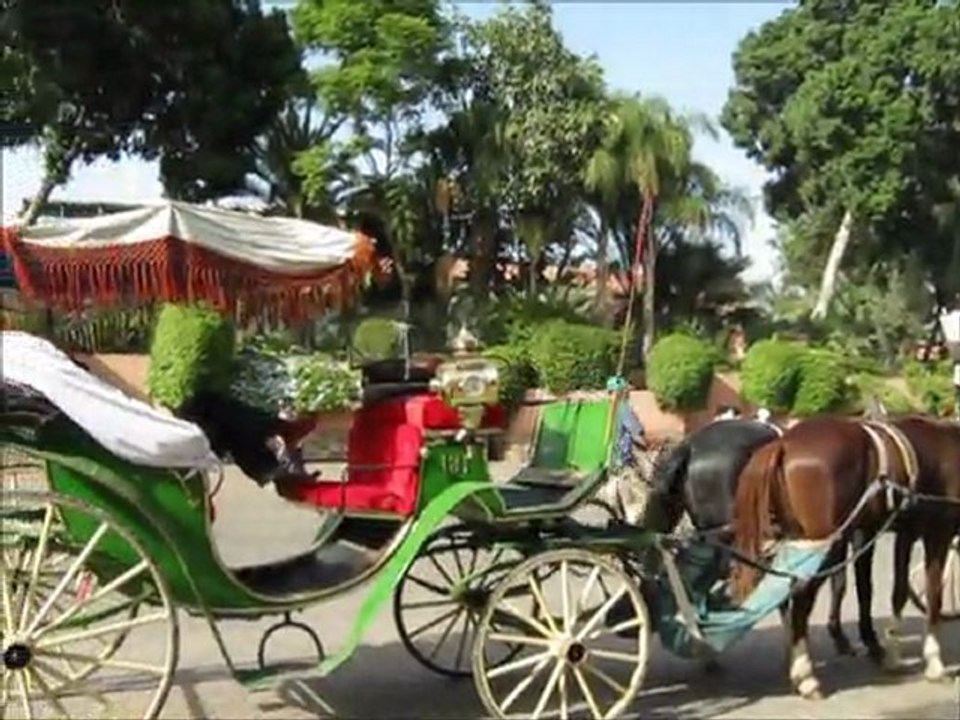 Mon film AGADIR octobre 2011 - vidéo 52
