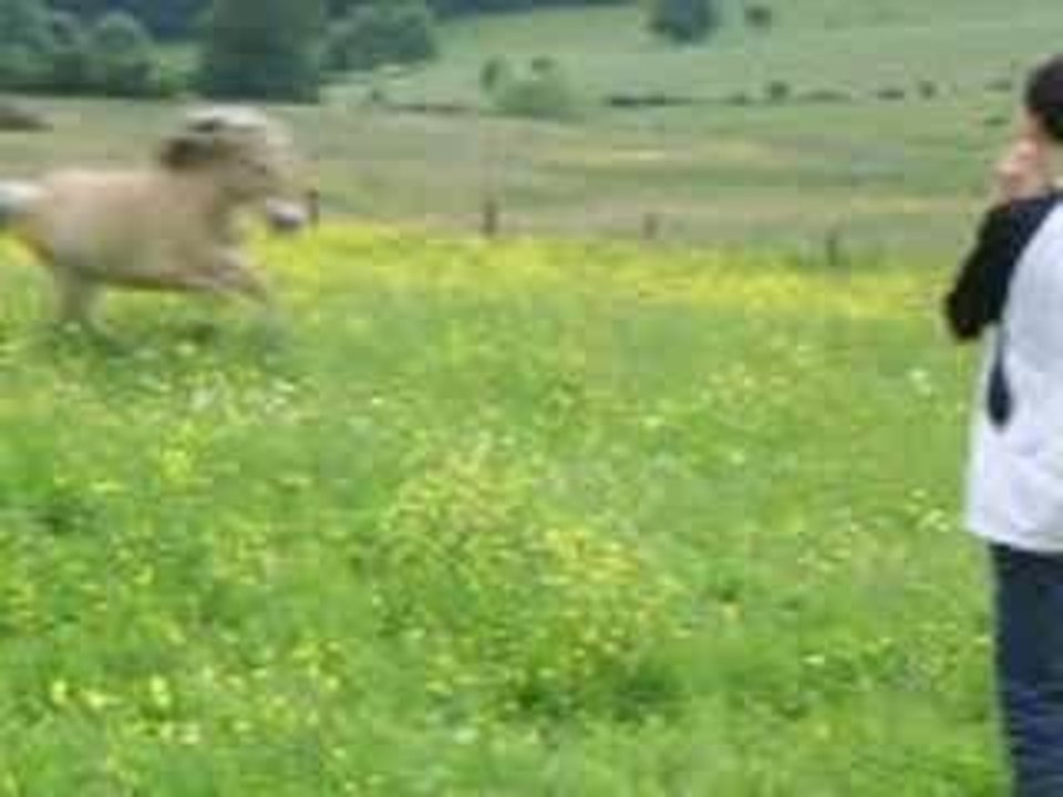 5 juin 2006 156