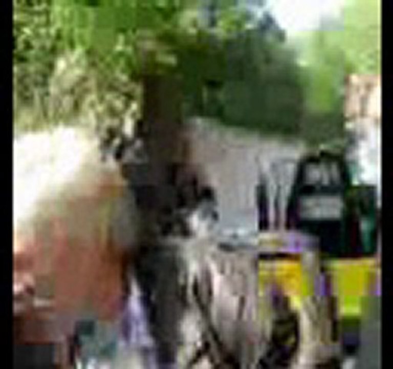 Efteling4