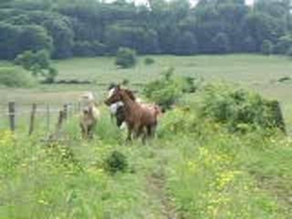 5 juin 2006 160