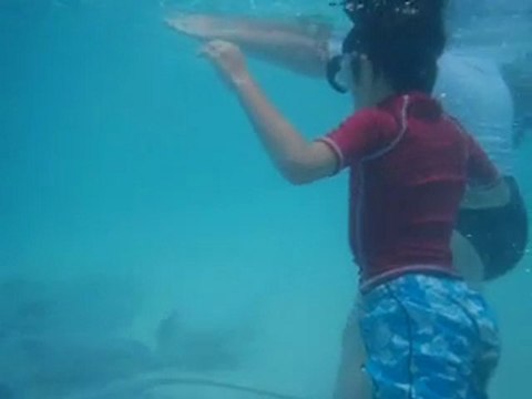 4952 Moorea nov 2011