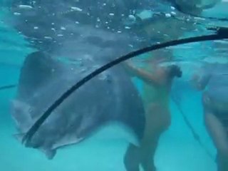 4945 Moorea nov 2011