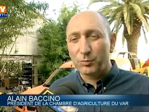 Inondations : 300 entreprises agricoles touchées