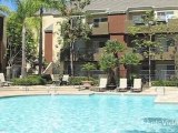 The Charter Apartments in Irvine, CA - ForRent.com