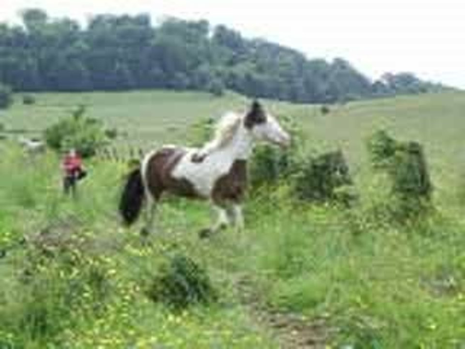 5 juin 2006 161