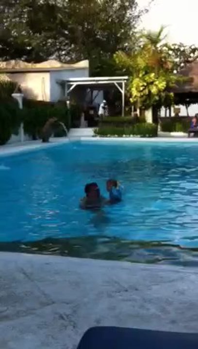 Rom Piscine 2
