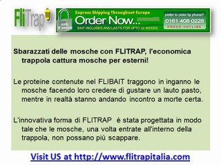 Come impedire alle mosche di entrare in casa tua