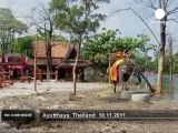 Elephants join clean-up effort after floods... - no comment