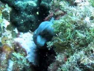 Planier 11 11 11 2: Key Details